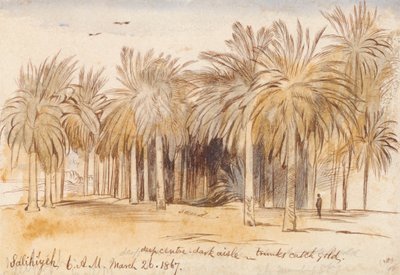 Salahiyeh - Edward Lear